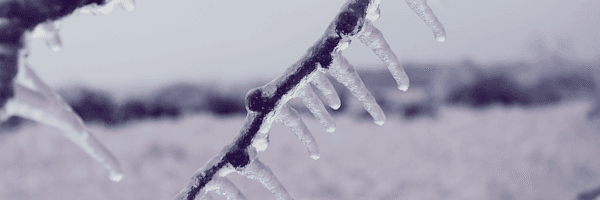 Climate Change and Texas Winter Storm Header