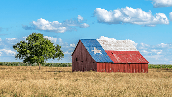 ¿Se muda de Nueva York a Texas? Esto es lo que puede esperar
